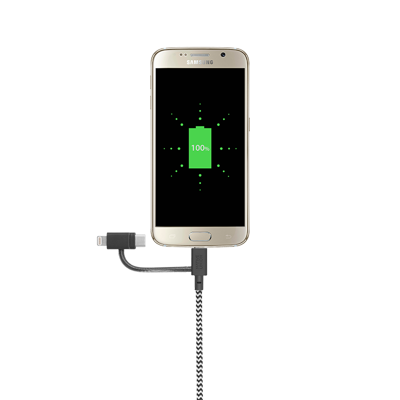 34253205176459,Belt Cable Universal - Zebra